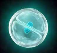 秦皇岛试管助孕试管前可以通过精子选