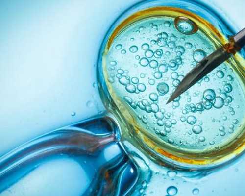 国内哪家供卵机构最好,国内供卵机构