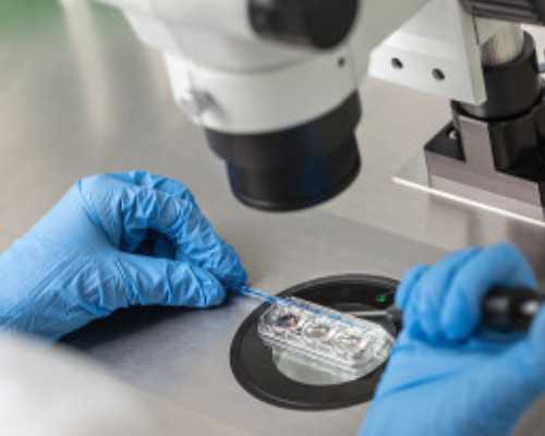 澳洲雇主担保移民申请（服务员也能移民澳洲？北领地DAMA项目帮你圆梦！）