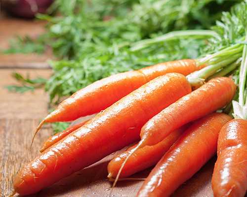 试管代怀产子,野生葛根粉的功效与作用：葛根粉的作用与功效