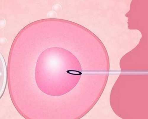 国内借卵试管的医院,国内借卵试管全指南