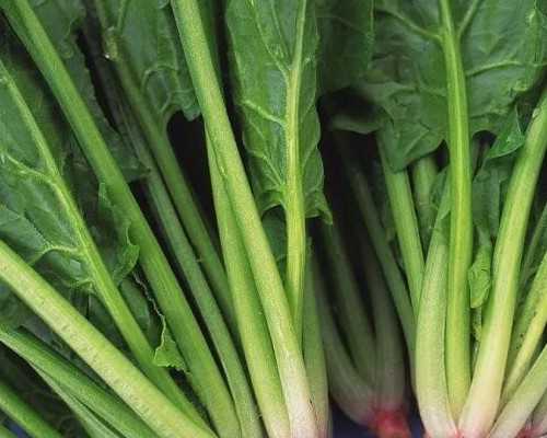 供卵代生咨询,卵巢和输卵管切除手术后注意事项有什么