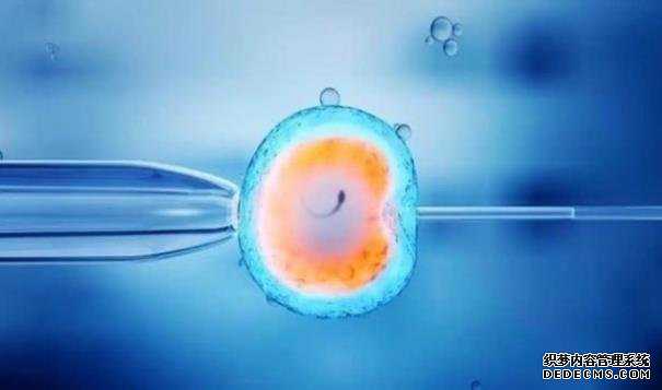 广州试管哪里可以选性别_48岁借卵做试管成功率_二代试管单精子注射可以选择