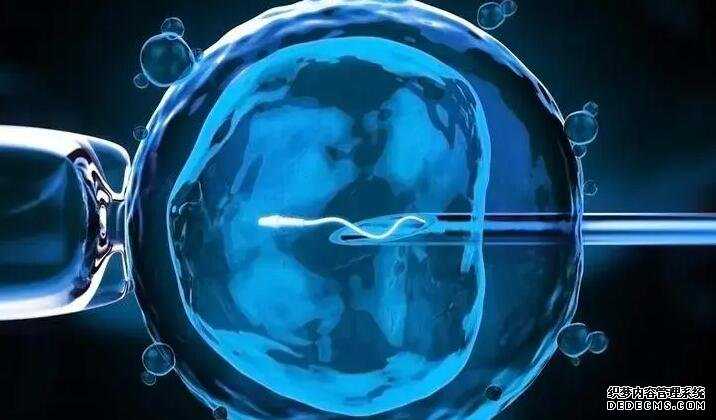移植后胚胎着床过程图_四代试管总费用_zQH43_m2mut_地贫基因三项结果怎么看是不