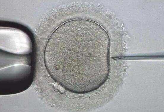 昆明供卵试管包男孩_泰国试管婴儿可以选男生吗_鲜胚移植失败当月来例假可直