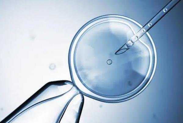 试管移植选择什么样的胚胎_广州做试管可以选择性别吗_天津中心妇产医院做试