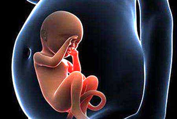 试管婴儿的利与弊_试管婴儿可以选男女吗_E试管：卵巢功能下降试管婴儿|怎么