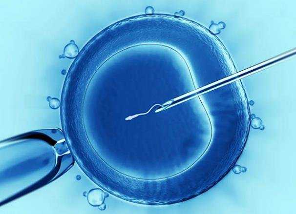 供精做试管移植时移几个_国内试管婴儿能选性别吗_胚胎养囊说明胚胎质量好还